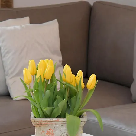 Appartementhaus Seewind Apartman