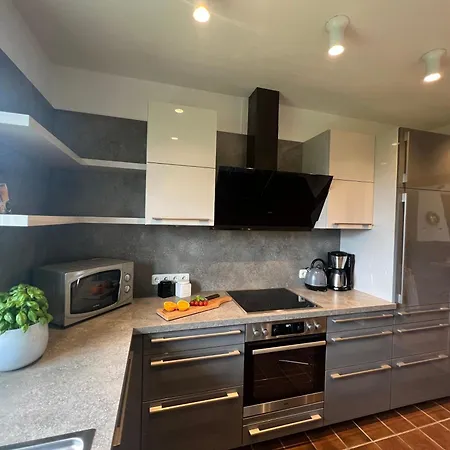 公寓 Appartementhaus Seewind 比苏姆